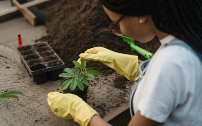 BIBO e INCAS GLOBAL+ dialogarán sobre los desafíos y soluciones para reducir la huella de carbono en el país