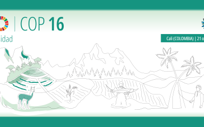 Ha llegado el momento de hacer realidad el “derecho a los alimentos” en favor de una dieta saludable, nutritiva y asequible