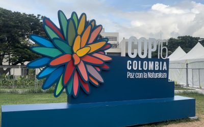 Nativa Comunicaciones y FAO: Cobertura Integral de la COP16