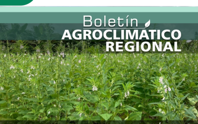 Boletines Agroclimáticos de Bolívar