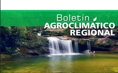 Boletines Agroclimáticos de Putumayo