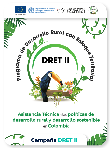 CARATULA-DRETT-II