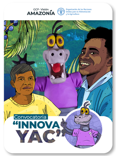 CARATULA-GCF-INNOVAYAC (1)
